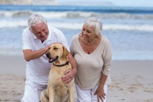 Benefits of Dogs for Seniors